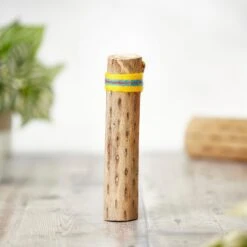 Cactus Rainstick - 25cm