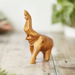 Noisy Elephant Whistle